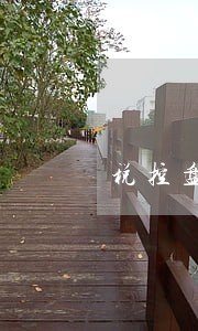 税控盘逾期罚款是由谁出