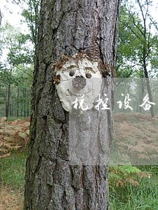税控设备逾期报税怎么处罚