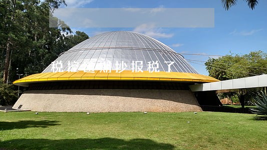 税控逾期抄报税了