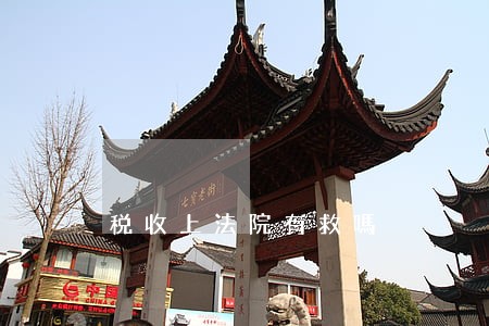 税收上法院有救嗎 税收上法院有救嗎