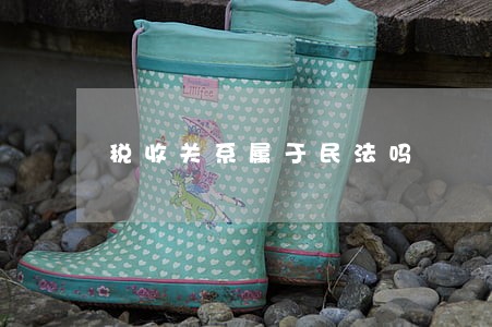 税收关系属于民法吗 税收关系属于民法吗