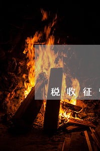税收征管法规定税务机关可以采取 税收征管法规定税务机关可以采取