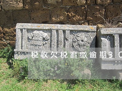 税收欠税追缴逾期30日强制执行 税收欠税追缴逾期30日强制执行