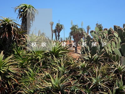 税收法律关系保护 税收法律关系保护