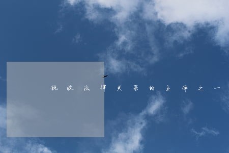 税收法律关系的主体之一 税收法律关系的主体之一