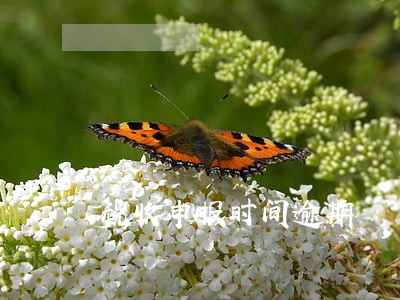 税收申报时间逾期