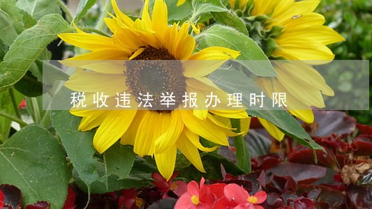 税收违法举报办理时限 税收违法举报办理时限