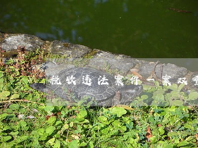 税收违法案件一案双查办法释义 税收违法案件一案双查办法释义