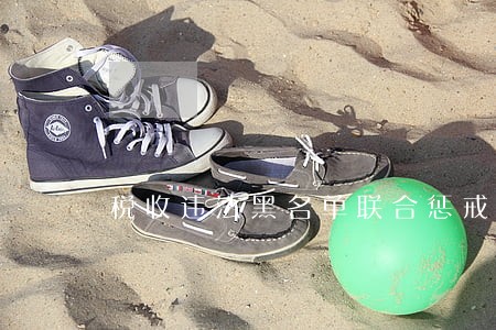 税收违法黑名单联合惩戒制度
