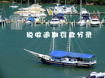 税收逾期罚款分录 税收逾期罚款分录