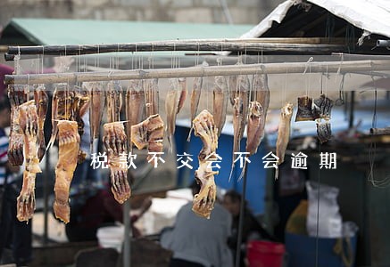 税款不交会不会逾期 税款不交会不会逾期