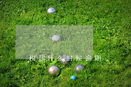 税款什么时候逾期 税款什么时候逾期