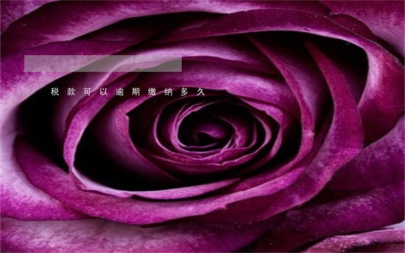 税款可以逾期缴纳多久 税款可以逾期缴纳多久