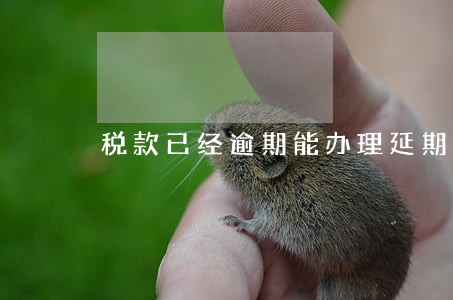 税款已经逾期能办理延期纳税 税款已经逾期能办理延期纳税