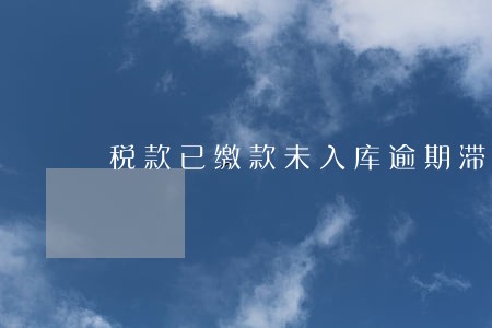 税款已缴款未入库逾期滞纳金 税款已缴款未入库逾期滞纳金