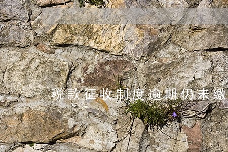 税款征收制度逾期仍未缴纳 税款征收制度逾期仍未缴纳