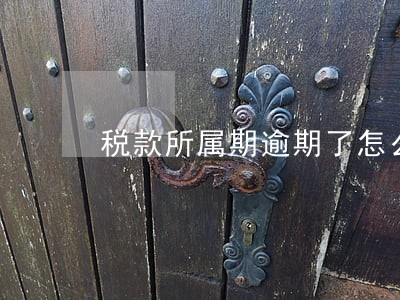 税款所属期逾期了怎么办