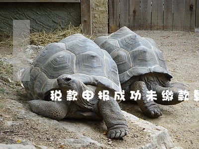 税款申报成功未缴款算逾期吗 税款申报成功未缴款算逾期吗