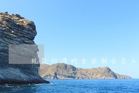 税款的滞纳金逾期会怎么样 税款的滞纳金逾期会怎么样