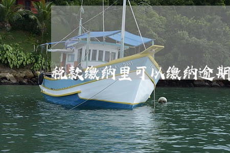 税款缴纳里可以缴纳逾期的税款吗 税款缴纳里可以缴纳逾期的税款吗