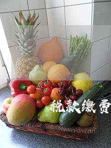 税款缴费逾期 税款缴费逾期