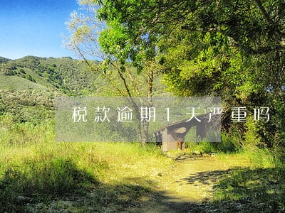 税款逾期1天严重吗 税款逾期1天严重吗