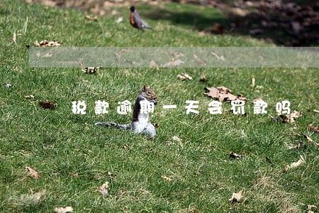 税款逾期一天会罚款吗 税款逾期一天会罚款吗