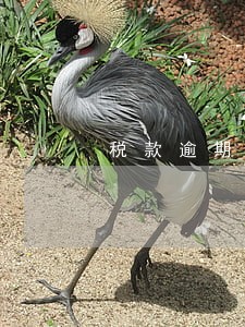 税款逾期万分之五怎么算 税款逾期万分之五怎么算