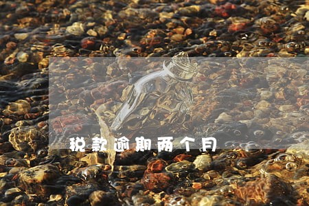 税款逾期两个月 税款逾期两个月