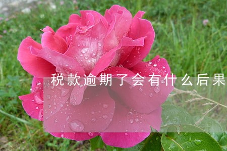 税款逾期了会有什么后果 税款逾期了会有什么后果