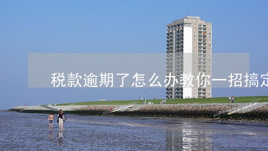 税款逾期了怎么办教你一招搞定 税款逾期了怎么办教你一招搞定