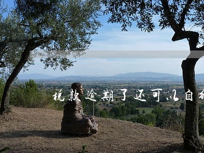 税款逾期了还可以自行缴纳吗 税款逾期了还可以自行缴纳吗