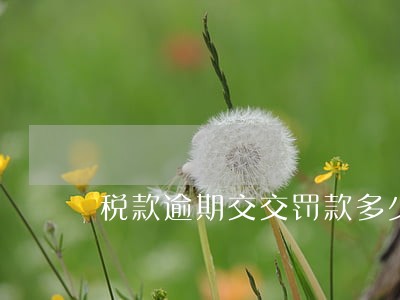 税款逾期交交罚款多少 税款逾期交交罚款多少