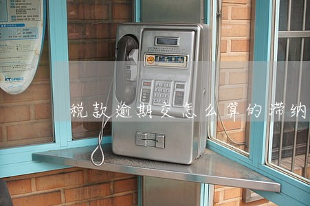 税款逾期交怎么算的滞纳金 税款逾期交怎么算的滞纳金