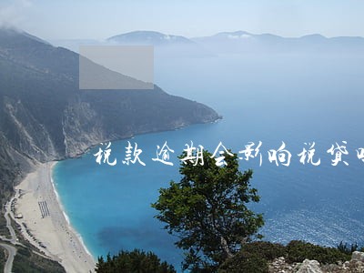 税款逾期会影响税贷吗