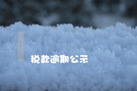 税款逾期公示