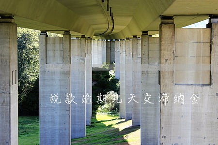 税款逾期几天交滞纳金