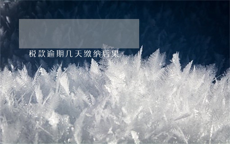 税款逾期几天缴纳后果