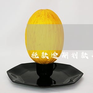 税款逾期划款罚款是几个点