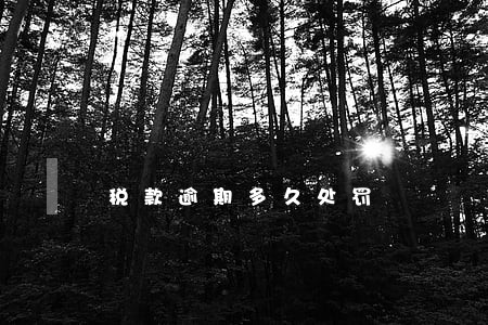 税款逾期多久处罚 税款逾期多久处罚