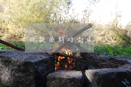 税款逾期对企业 税款逾期对企业