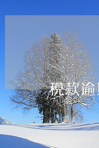 税款逾期对企业有什么影响 税款逾期对企业有什么影响