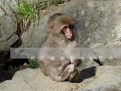 税款逾期影响贷款吗 税款逾期影响贷款吗