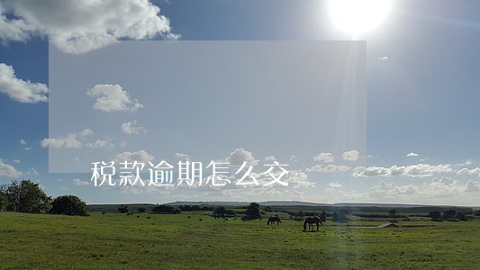 税款逾期怎么交 税款逾期怎么交