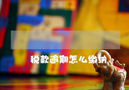 税款逾期怎么缴纳 税款逾期怎么缴纳