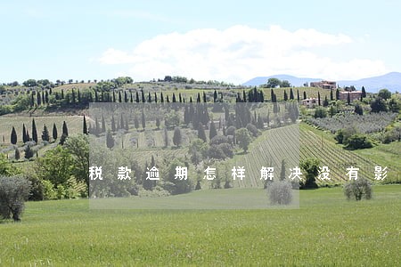 税款逾期怎样解决没有影响 税款逾期怎样解决没有影响