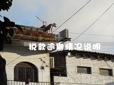 税款逾期情况说明 税款逾期情况说明