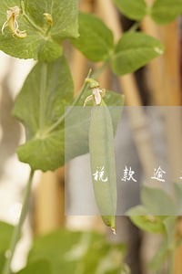 税款逾期扣分 税款逾期扣分