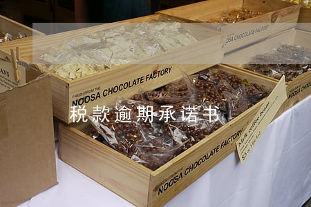 税款逾期承诺书 税款逾期承诺书