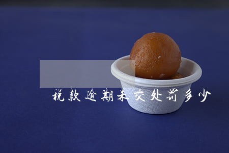 税款逾期未交处罚多少 税款逾期未交处罚多少